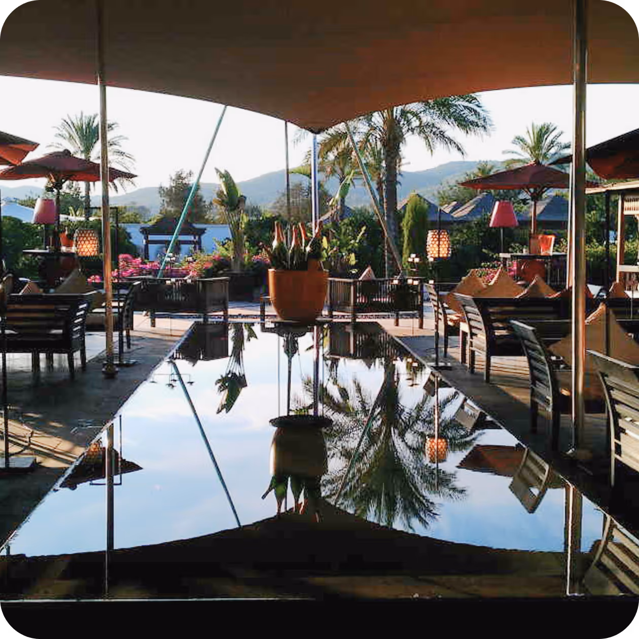 Stretch tent setup for an outdoor festival with professional lighting