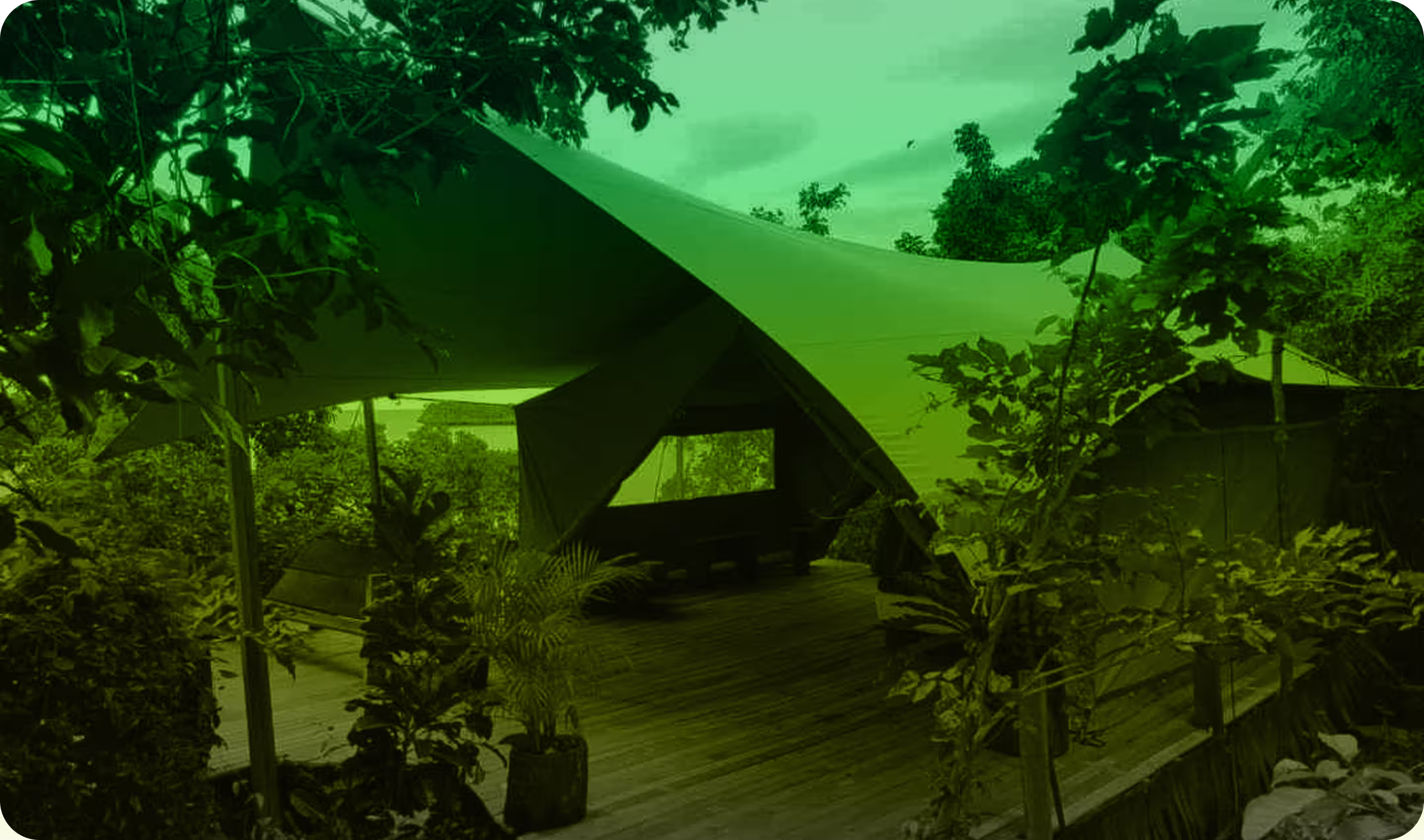 Stretch tent glamping shelter nestled in a woodland setting